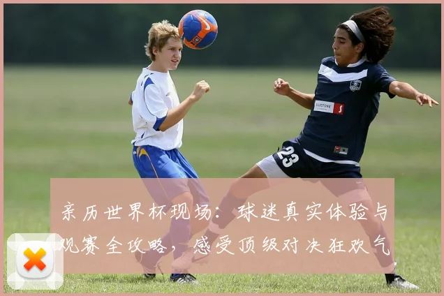 亲历世界杯现场：球迷真实体验与观赛全攻略，感受顶级对决狂欢气氛