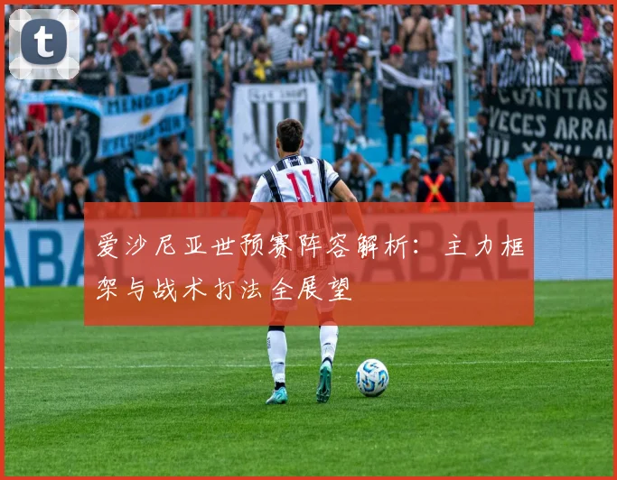 爱沙尼亚世预赛阵容解析：主力框架与战术打法全展望